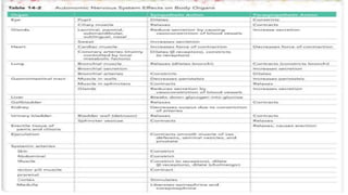 ASSESSMENT OF AUTONOMIC FUNCTION TEST.pptx