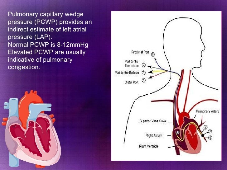 Assessment Of Cardiovascular Function