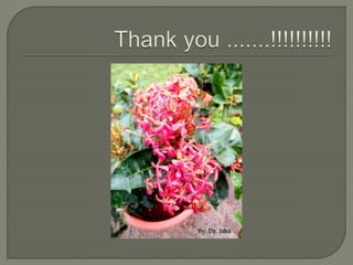 Assessment of cardiovascular function