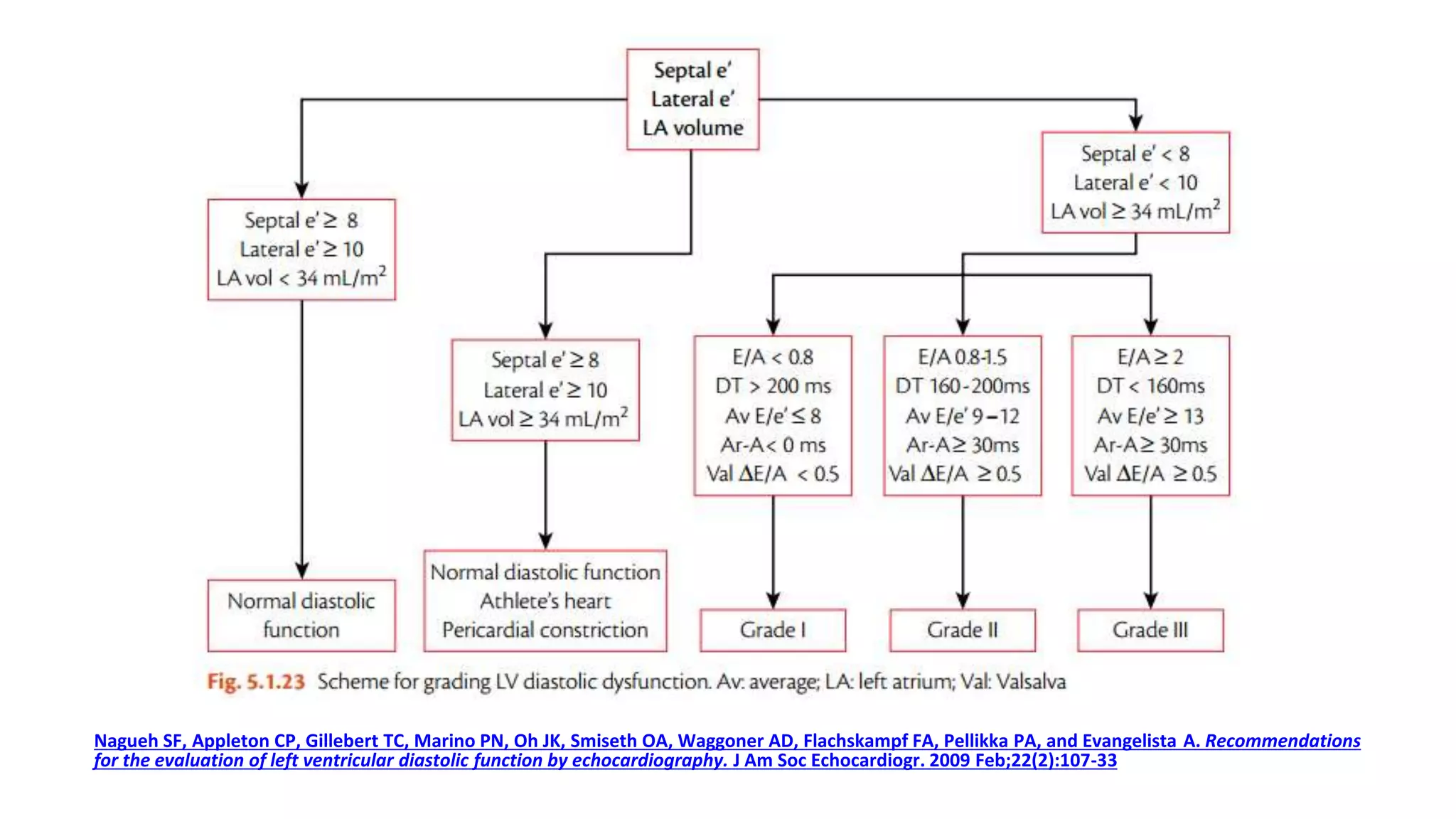 Nagueh SF, Appleton CP, Gillebert TC, Marino PN, Oh JK, Smiseth OA, Waggoner AD, Flachskampf FA, Pellikka PA, and Evangelista A. Recommendations
for the evaluation of left ventricular diastolic function by echocardiography. J Am Soc Echocardiogr. 2009 Feb;22(2):107-33
 
