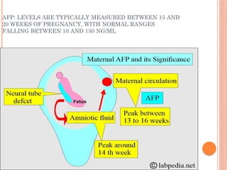 Reference Ranges For Afp Assessment of fetal wellbeing for nurses. | PPTX
