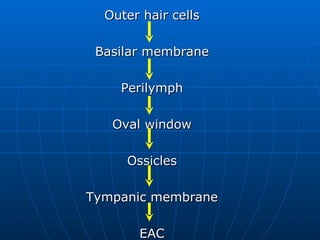 Outer hair cells Basilar membrane Perilymph Oval window Ossicles Tympanic membrane EAC 