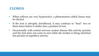 Assessment of Nervous system.pptx