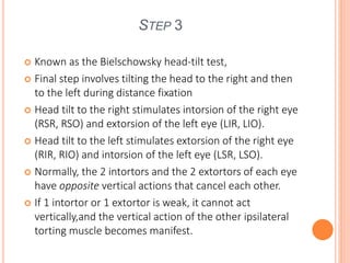 STEP 3
 Known as the Bielschowsky head-tilt test,
 Final step involves tilting the head to the right and then
to the left during distance fixation
 Head tilt to the right stimulates intorsion of the right eye
(RSR, RSO) and extorsion of the left eye (LIR, LIO).
 Head tilt to the left stimulates extorsion of the right eye
(RIR, RIO) and intorsion of the left eye (LSR, LSO).
 Normally, the 2 intortors and the 2 extortors of each eye
have opposite vertical actions that cancel each other.
 If 1 intortor or 1 extortor is weak, it cannot act
vertically,and the vertical action of the other ipsilateral
torting muscle becomes manifest.
 
