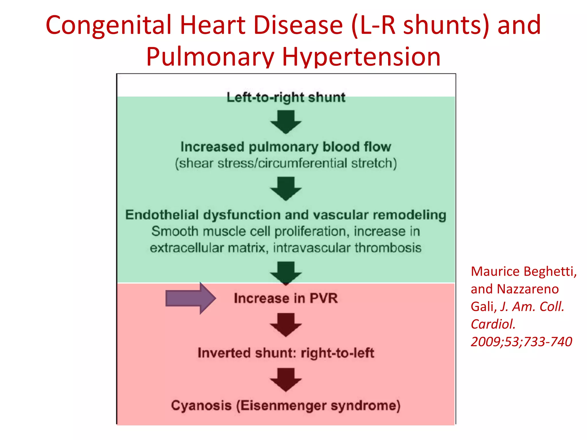 Congenital Heart Disease (L-R shunts) and
Pulmonary Hypertension
Maurice Beghetti,
and Nazzareno
Gali, J. Am. Coll.
Cardiol.
2009;53;733-740
 