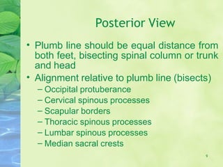 Methods in assessing posture and its abnormality | PPT