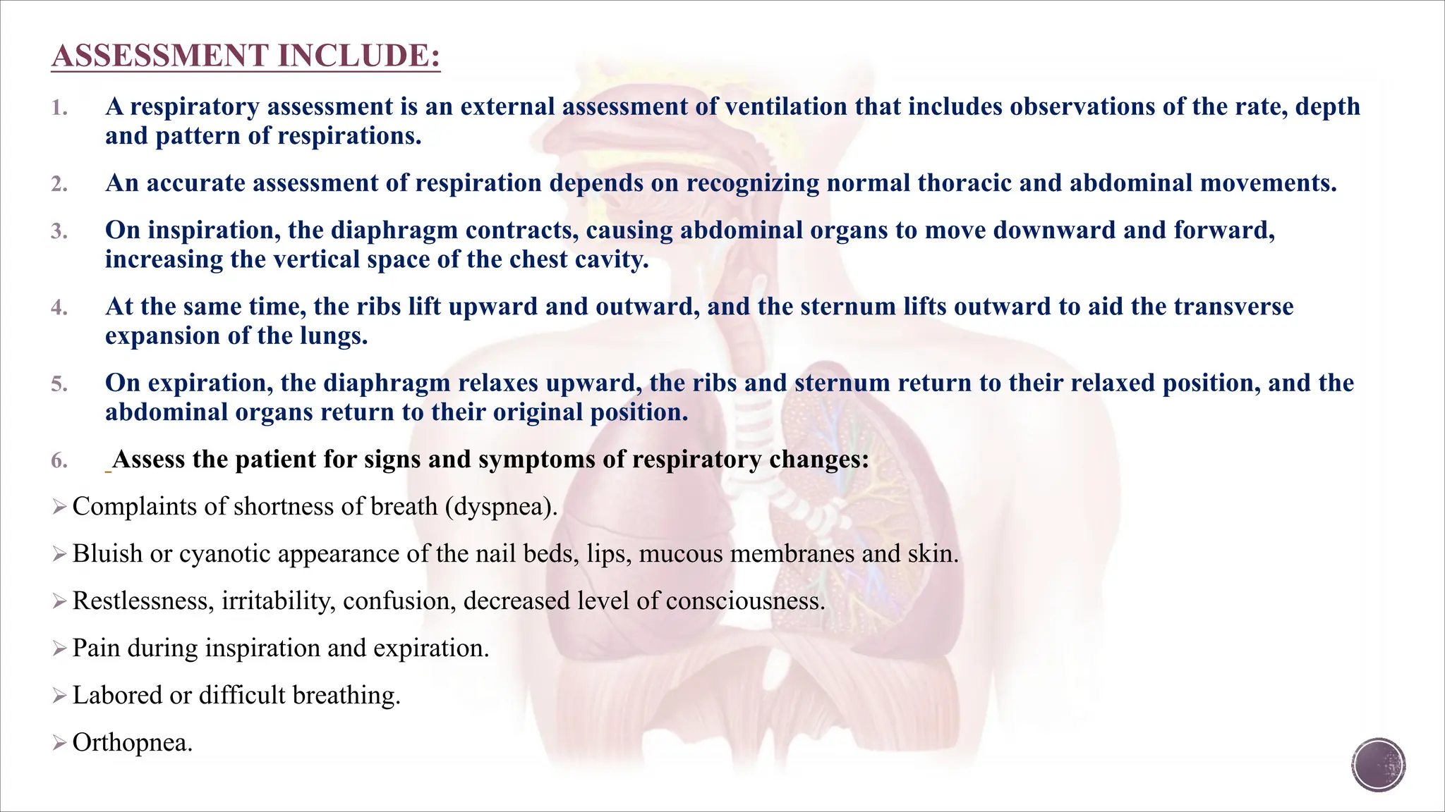Assessment Of Respiratory Function Pdf