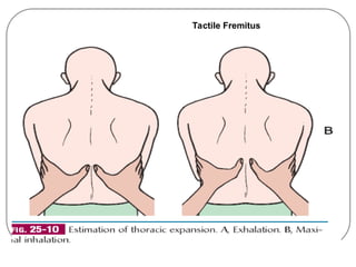 Friction Fremitus assessment_of_respiratory system of patients | PPT