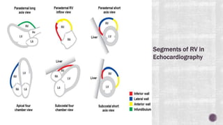 ASSESSMENT OF RV FUNCTION.pptx