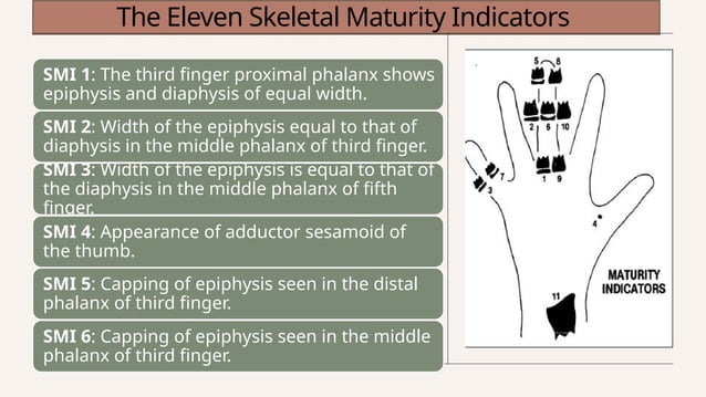 Assessment of skeletal age in Orthodontics | PPTX