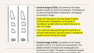 Assessment of skeletal age in Orthodontics (2).pptx