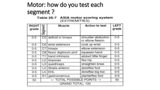 Assessment of Spinal cord injury.pptx