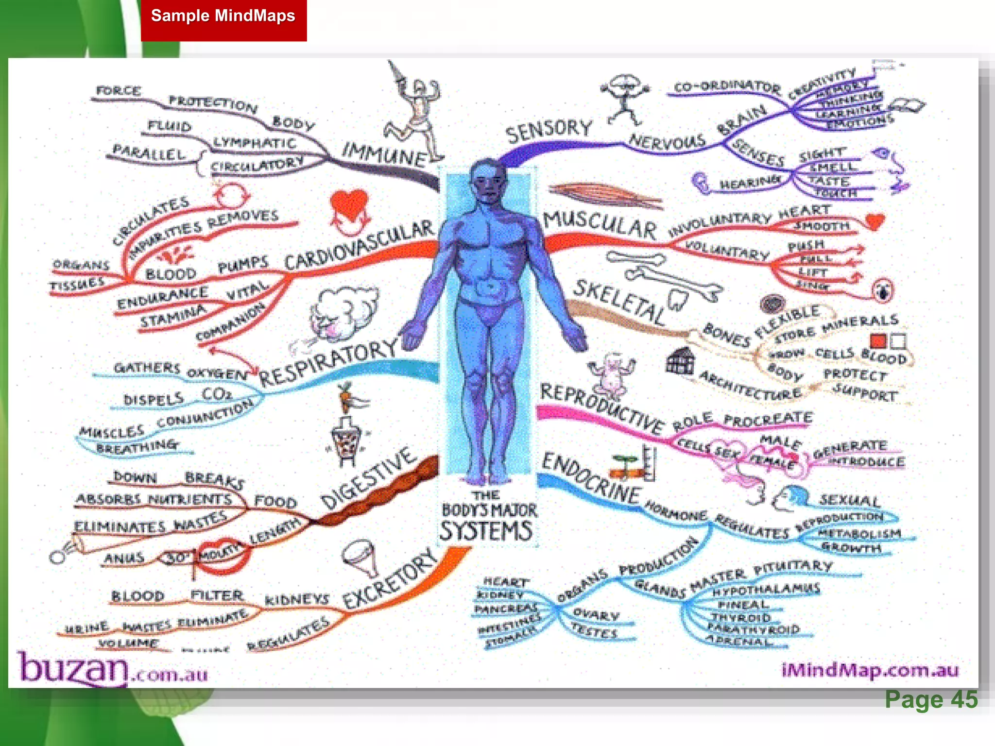 Free Powerpoint Templates Page 45
Sample MindMaps
 
