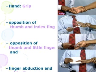 Assessment of the musclo skletal system | PPT