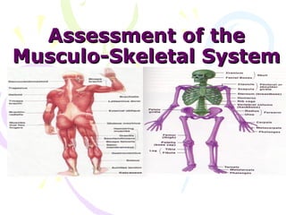 Assessment of the
Musculo-Skeletal System
 