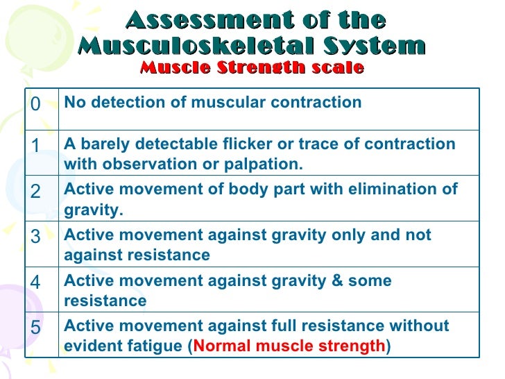 Assessment Of The Musclo Skletal System