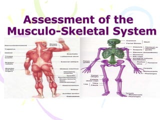 Assessment of the
Musculo-Skeletal System
 