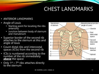 NURSING ASSESSMENT OF THE THORAX AND LUNGS.ppt
