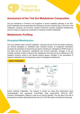 Assessment of the Tick Gut Metabolome Composition
The gut microbiome is involved in the regulation of various metabolic pathways in the host.
Some metabolites that are generated and released by the gut microbiota play a vital role in host
metabolism, signaling, and immunity. Creative Proteomics provides untargeted metabolomics
service to help you analyze the composition of intestinal microbial metabolites.
Metabolomic Profiling
Untargeted Metabolomics
The Lyme disease agent, borrelia burgdorferi, colonizing the gut of the tick Ixodes scapularis,
can transmit pathogens to vertebrate hosts including humans. B. burgdorferi colonization
increases the expression of several tick gut genes including pixr. Abrogation of PIXR function in
vivo alters the gut microbiome, metabolome and immune responses. Changes in the gut
microbial members is likely to influence the metabolome of the tick gut due to differences in the
metabolic functions unique to the specific bacteria genera. Changes in the composition of
intestinal metabolites can be analyzed by means of untargeted metabolomics
ASSAY OVERVIEW
Extract intestinal metabolites. The analysis is carried out using ultra performance liquid
chromatography and quadrupole time-of-flight mass spectrometry (UPLC-Q TOF).
2-Chloro-L-phenylalanine (Sigma) is used as an internal standard. The raw data of the MS is
processed and verified. Data obtained from the LC-Q TOF MS system are filtered for denoising
 
