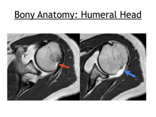 Assessment of the unstable shoulder | PDF
