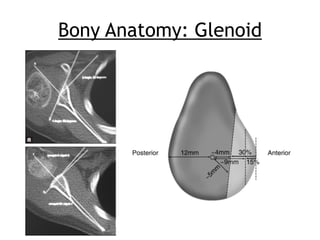 Assessment of the unstable shoulder | PDF