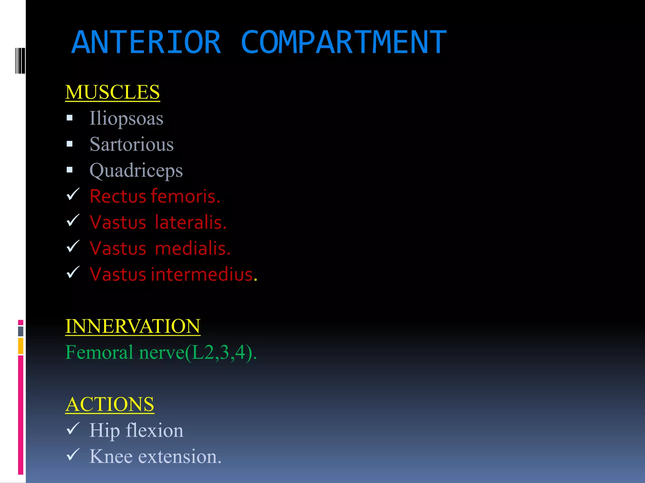 ANTERIOR COMPARTMENT
MUSCLES
 Iliopsoas
 Sartorious
 Quadriceps
 Rectus femoris.
 Vastus lateralis.
 Vastus medialis.
 Vastus intermedius.
INNERVATION
Femoral nerve(L2,3,4).
ACTIONS
 Hip flexion
 Knee extension.
 