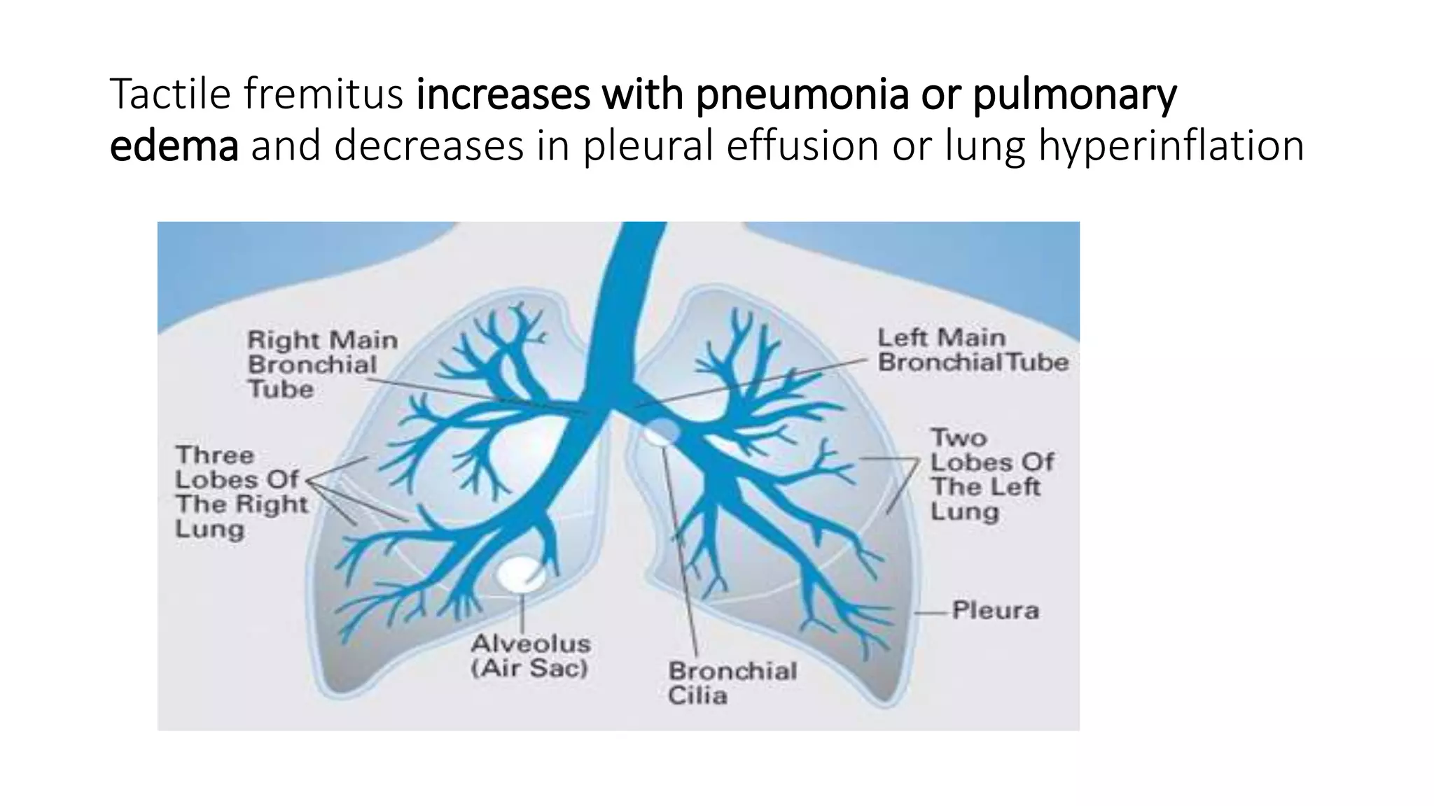 Friction Fremitus assessment of thorax.pptx