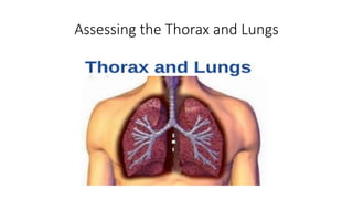 Assessing the Thorax and Lungs
 