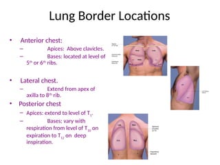 Assessment_of_thorax_lungs.pptfdsfrdtfytfdsfxcguhggc | PPT