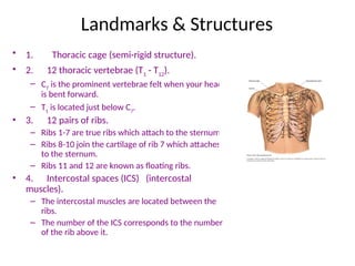 Assessment_of_thorax_lungs.pptfdsfrdtfytfdsfxcguhggc | PPT