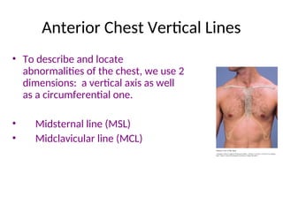 Line Between Chest Assessment_of_thorax_lungs.pptfdsfrdtfytfdsfxcguhggc | PPT