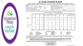 Occupational Therapy Standardized Assessment | PPTX