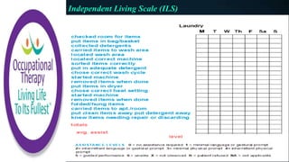 Occupational Therapy Standardized Assessment | PPTX