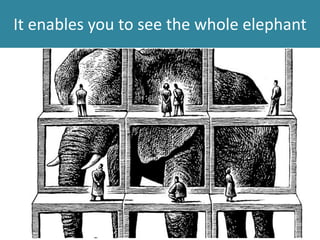 It enables you to see the whole elephant
 