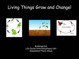 Living Things Grow and Change!




                  Kindergarten
        Life Cycles Interdisciplinary Unit
            Assessment Photo Album
 