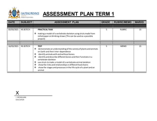 Assessment plan term 1 2021