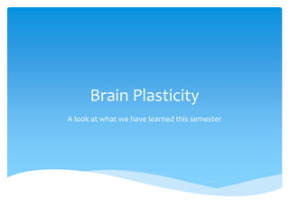 Brain Plasticity
A look at what we have learned this semester

 