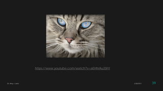 2/28/2017Dr. Amy J. Lane 39
https://www.youtube.com/watch?v=aEHhrAu3ShY
 