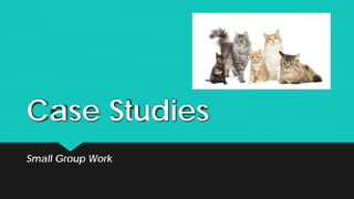 Case Studies
Small Group Work
 