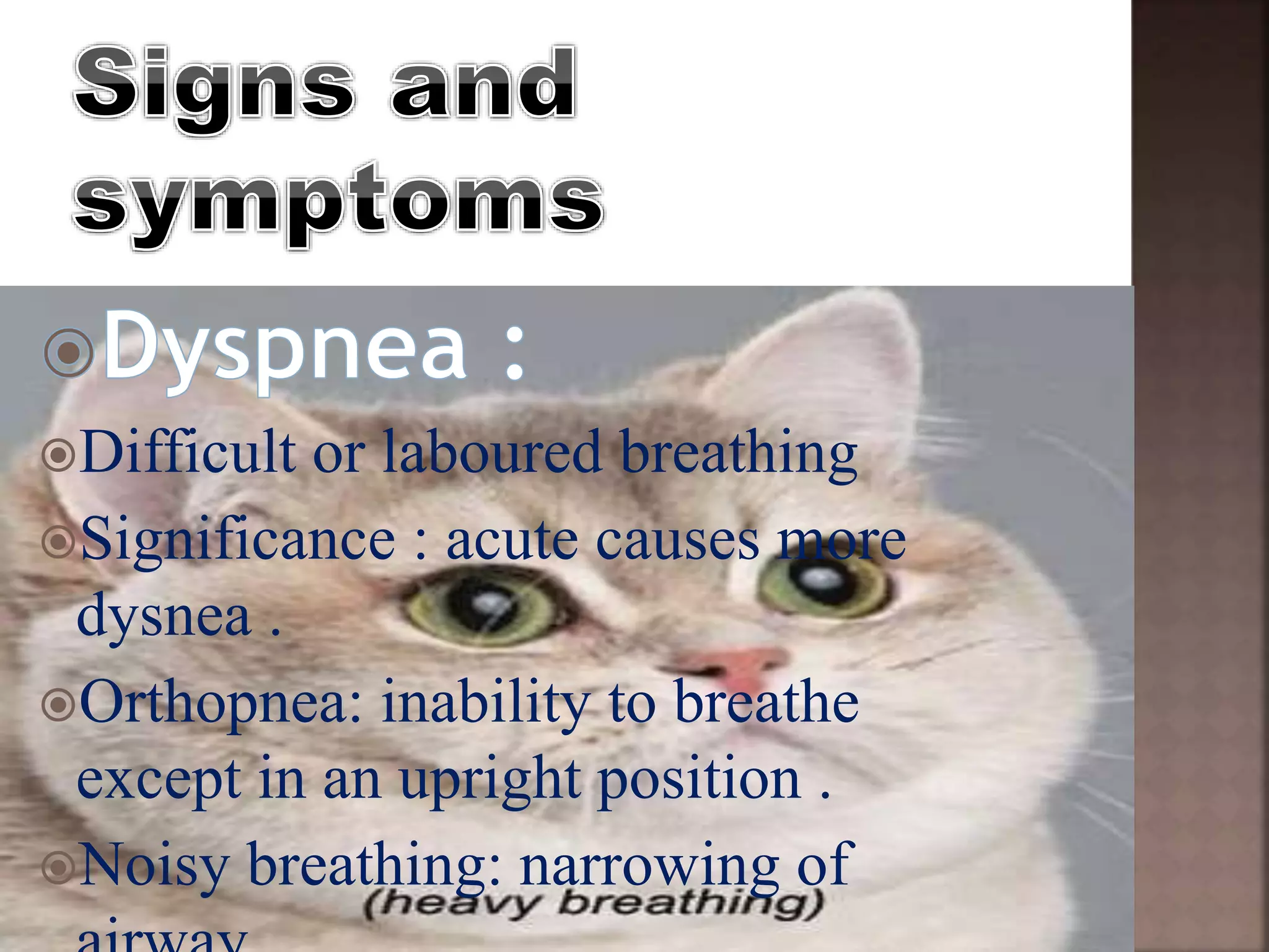 pulmonary assessment for nurses | PPTX