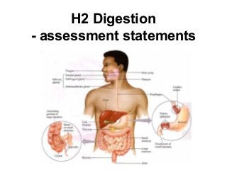 H2 Digestion
- assessment statements
 