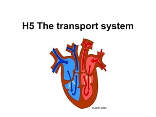 H5 The transport system
 