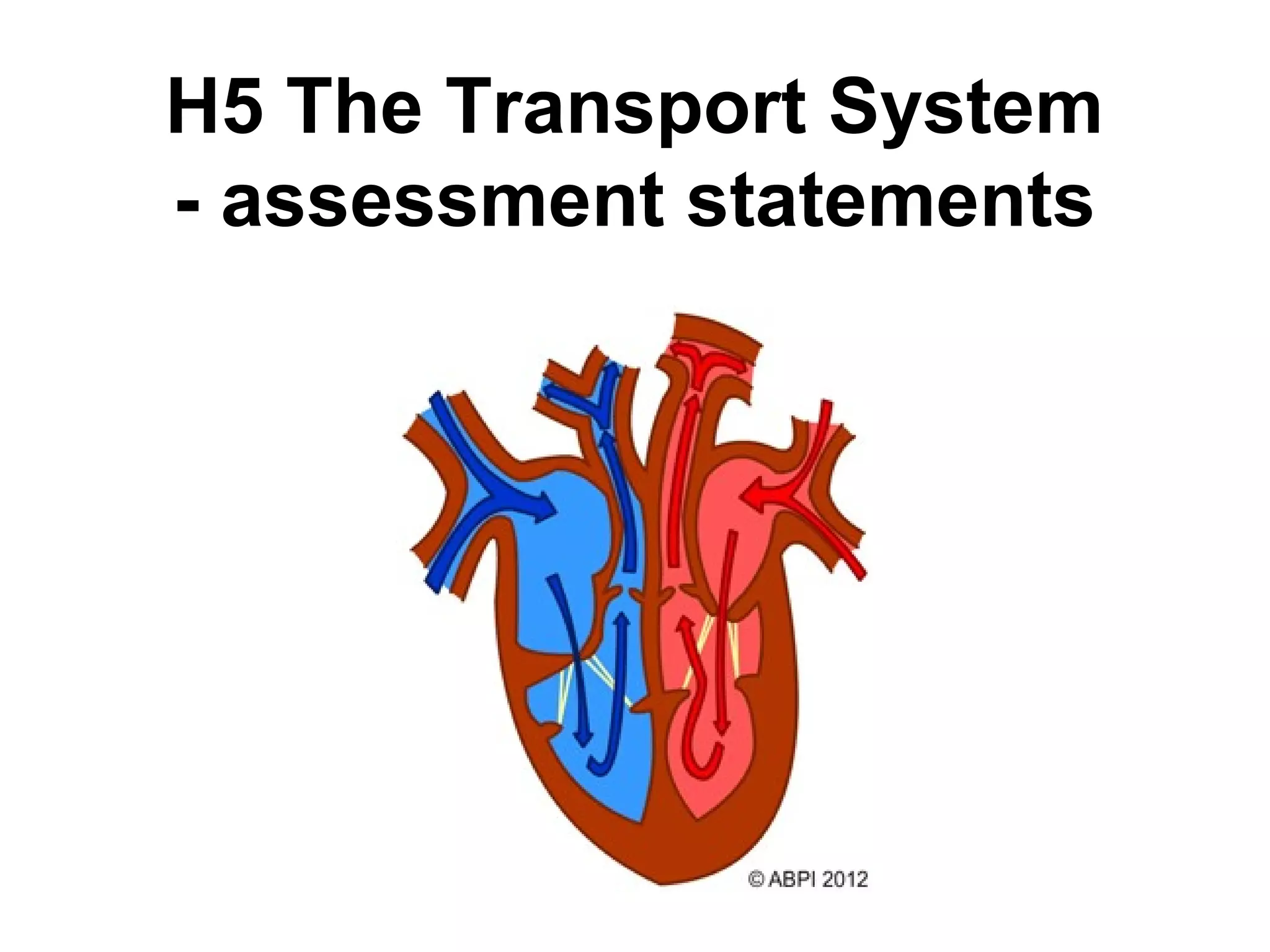 H5 The Transport System
- assessment statements