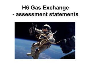 H6 Gas Exchange
- assessment statements
 