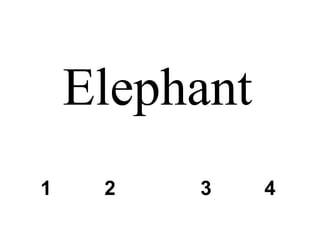 Elephant 1 2 3 4 