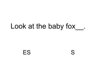 ES S Look at the baby fox__. 