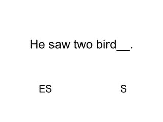 ES S He saw two bird__. 