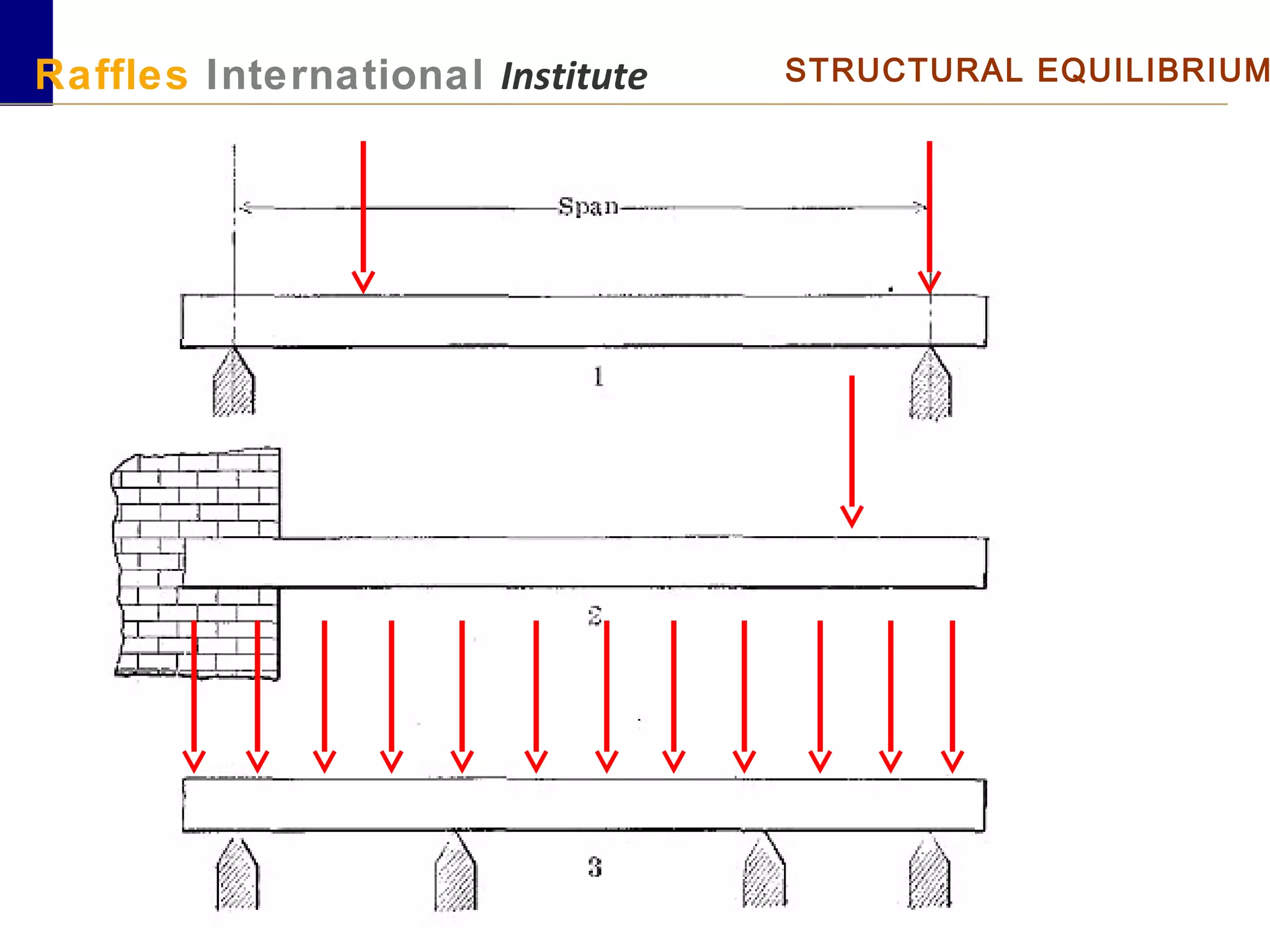 Raffles International Institute STRUCTURAL EQUILIBRIUM
 