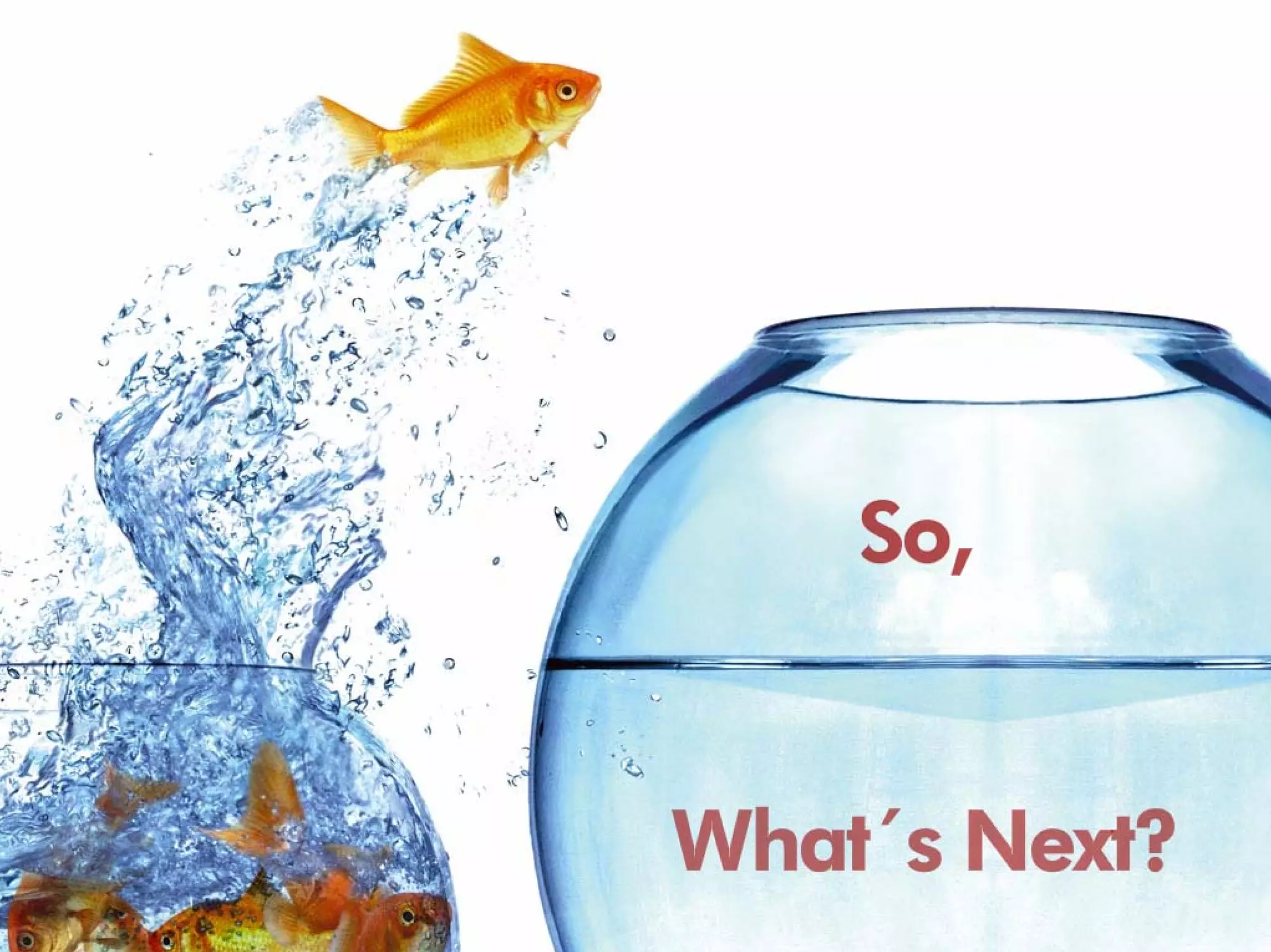 Strategy to Transfer Corporate: Asset Based Thinking