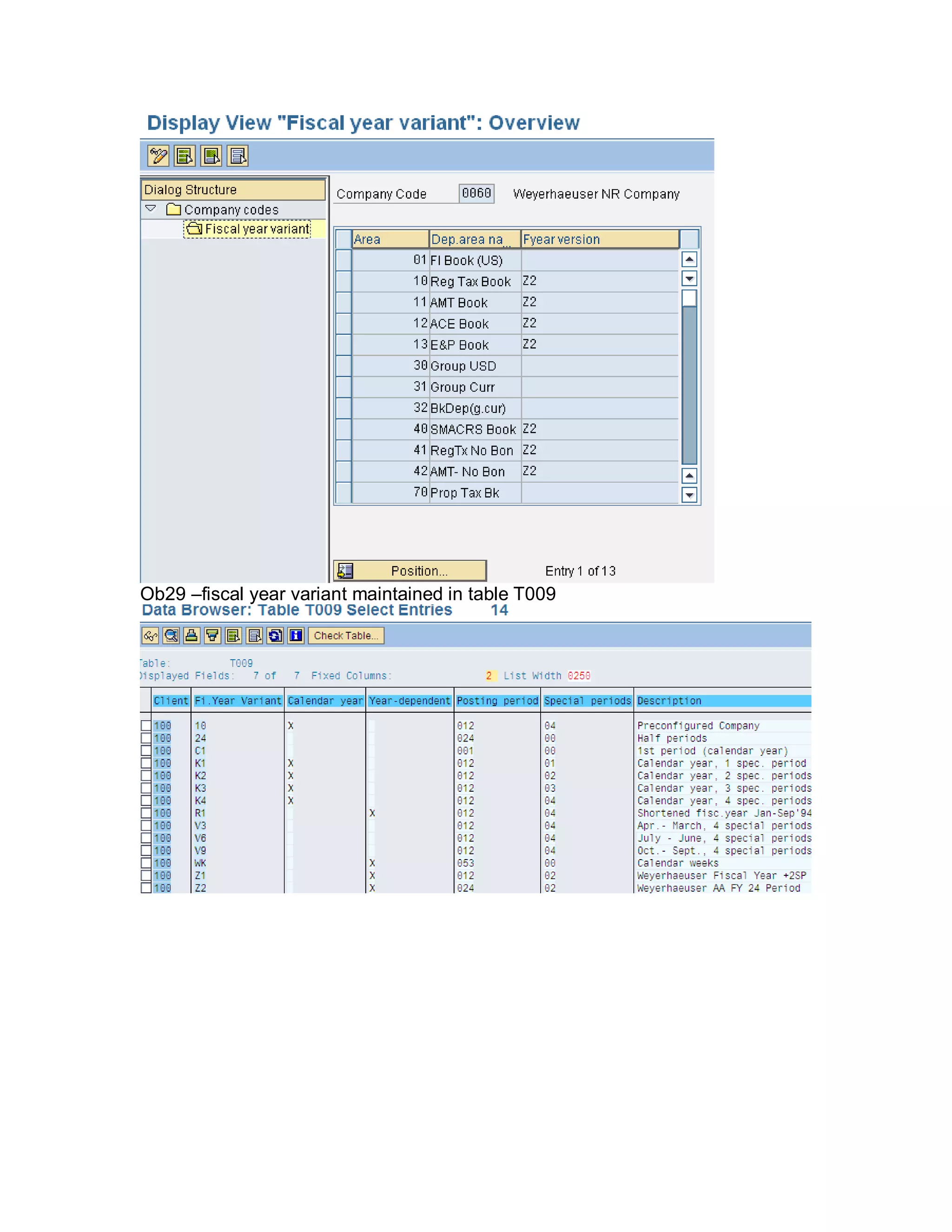 Ob29 –fiscal year variant maintained in table T009
 